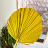 Yellow palm leaf