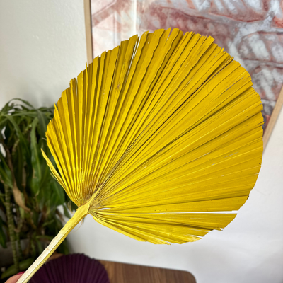 Yellow palm leaf