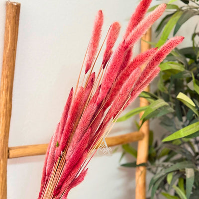 Bouquet of small dried coral plants