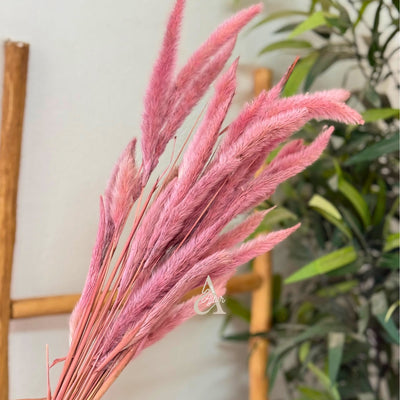 Bouquet of small light pink dried plants