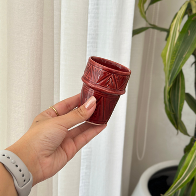 Tizwelt varnished mug