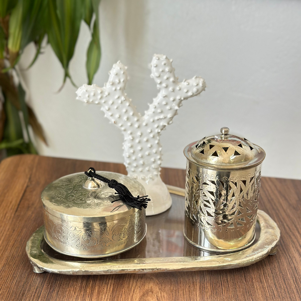 White cactus craft decoration pack