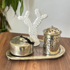 White cactus craft decoration pack