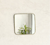 Afaw Medium Brass Mirror