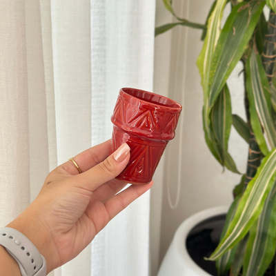 Tizwelt varnished mug