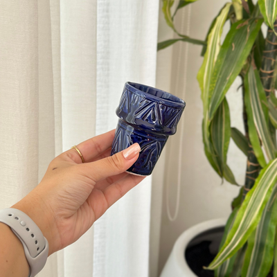 Tizwelt varnished mug