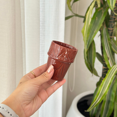 Tizwelt varnished mug