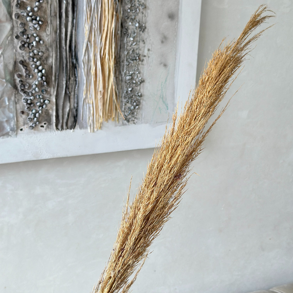Natural dried plant - Moroccan Dried Flowers