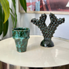 Small cactus