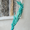 Turquoise pampas Grass - Moroccan Dried Flowers