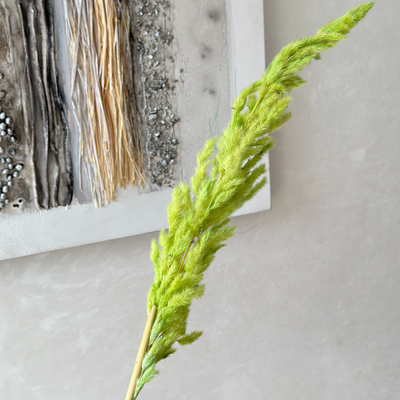Light green pampas