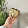 Round gold brass candle holder (3 sizes)