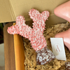 Tayyugt nude handmade gift box