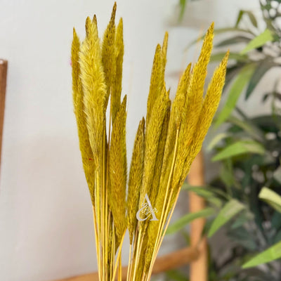 Bouquet of small dried green-yellow plants