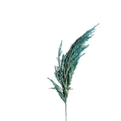 Plumeau turquoise - Ajbir