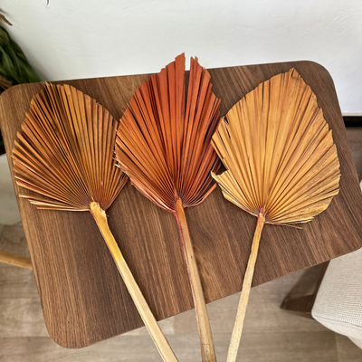 Light orange palm leaf