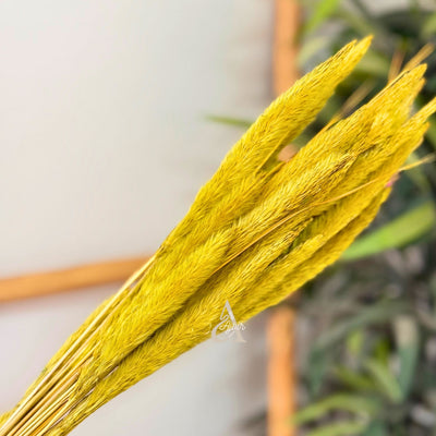 Bouquet of small dried green-yellow plants