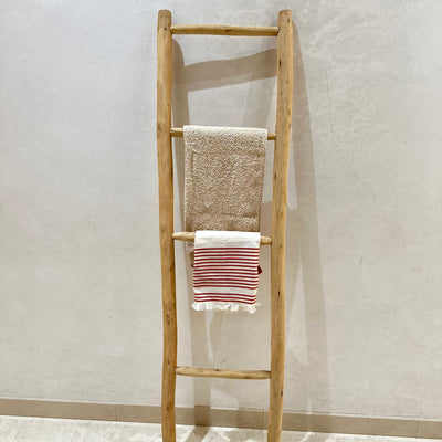 Wooden ladder