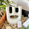 XL Green Cactus Handcrafted Gift Box
