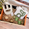 XL Green Cactus Handcrafted Gift Box