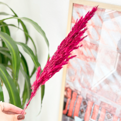 Plumeau rose fushia - Ajbir