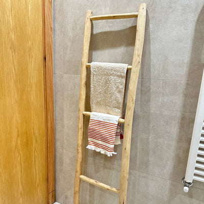 Wooden ladder