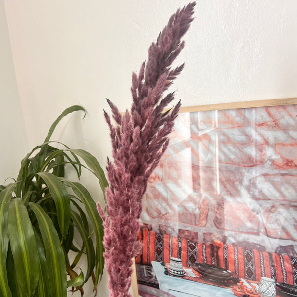 Pampas marron clair - Ajbir