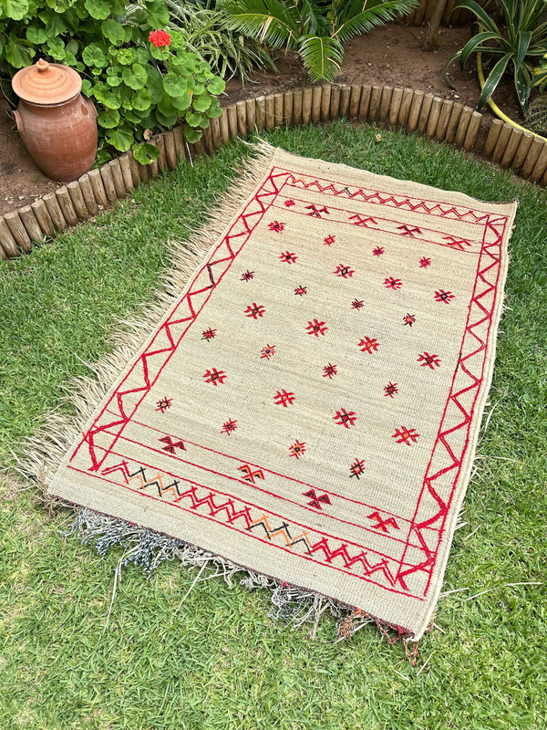 Tapis Extérieur en osier et laine 1m70/1m20 - Ajbir