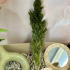 Olive green handcrafted gift box