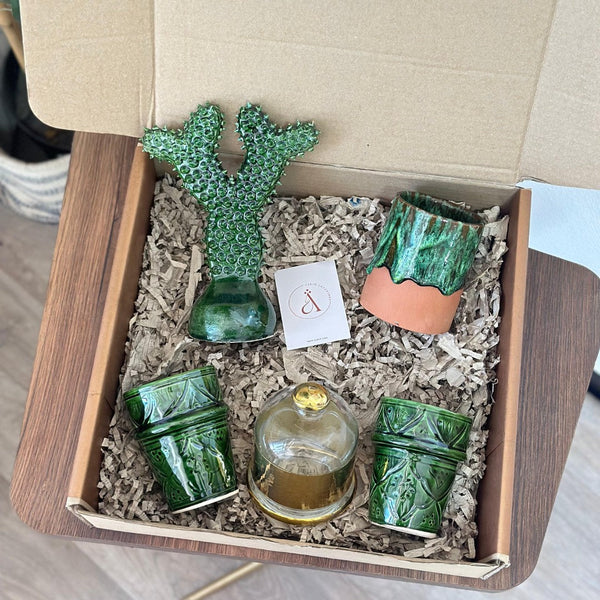 Tizwelt cactus gift box