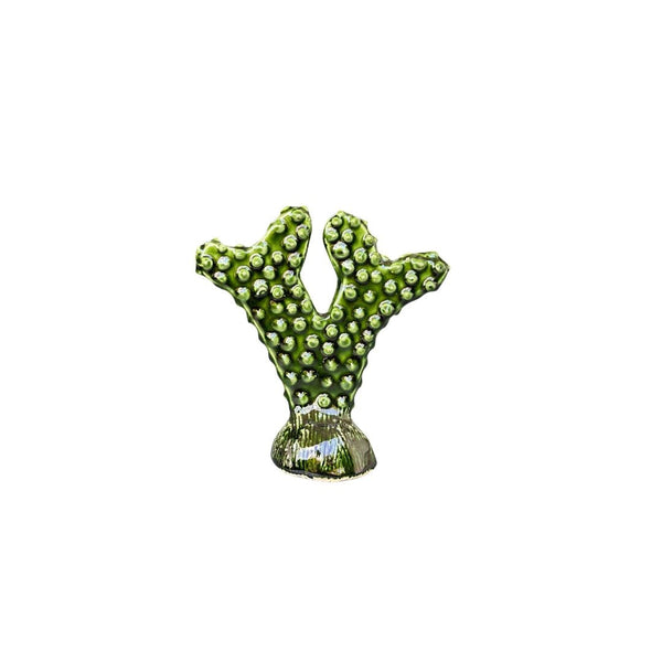 Petit cactus - Ajbir