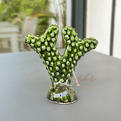 Petit cactus - Ajbir