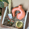 Atlas terracotta handcrafted gift box