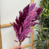 Bouquet of 6 purple feather dusters