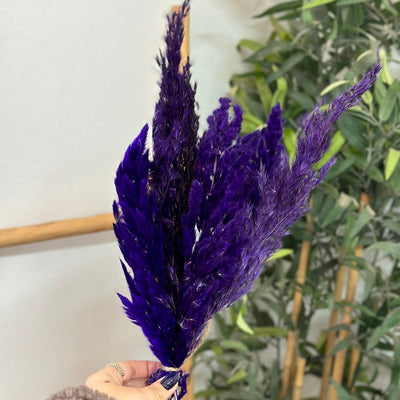 Bouquet of 6 Indigo feather dusters