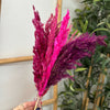 Bouquet of 6 pink feather dusters