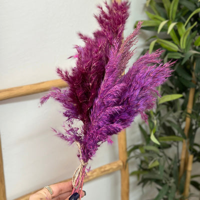 Bouquet of 7 purple feather dusters